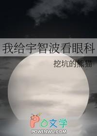 昭云奇剑录