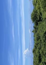 哈罗小黄鸭跟小黄鸭有什么区别