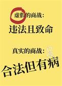 天下贰编年史