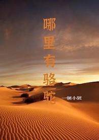 从熊出没开始