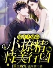 三国卧龙姐夫