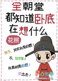 摄像头猎人衡阳