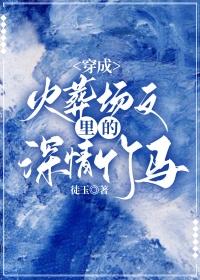 心软全文免费阅读